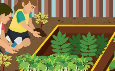 Generar composta casera es mucho más fácil de lo que piensas